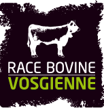 Race Bovine Vosgienne